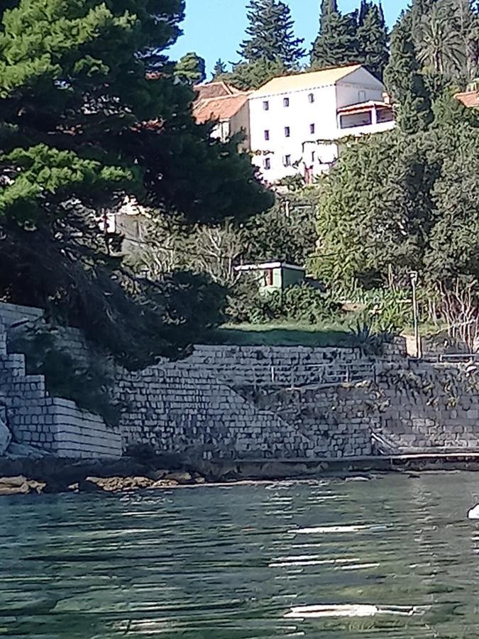 Villa Sea Dream Kolocep Gornje Celo Exterior photo