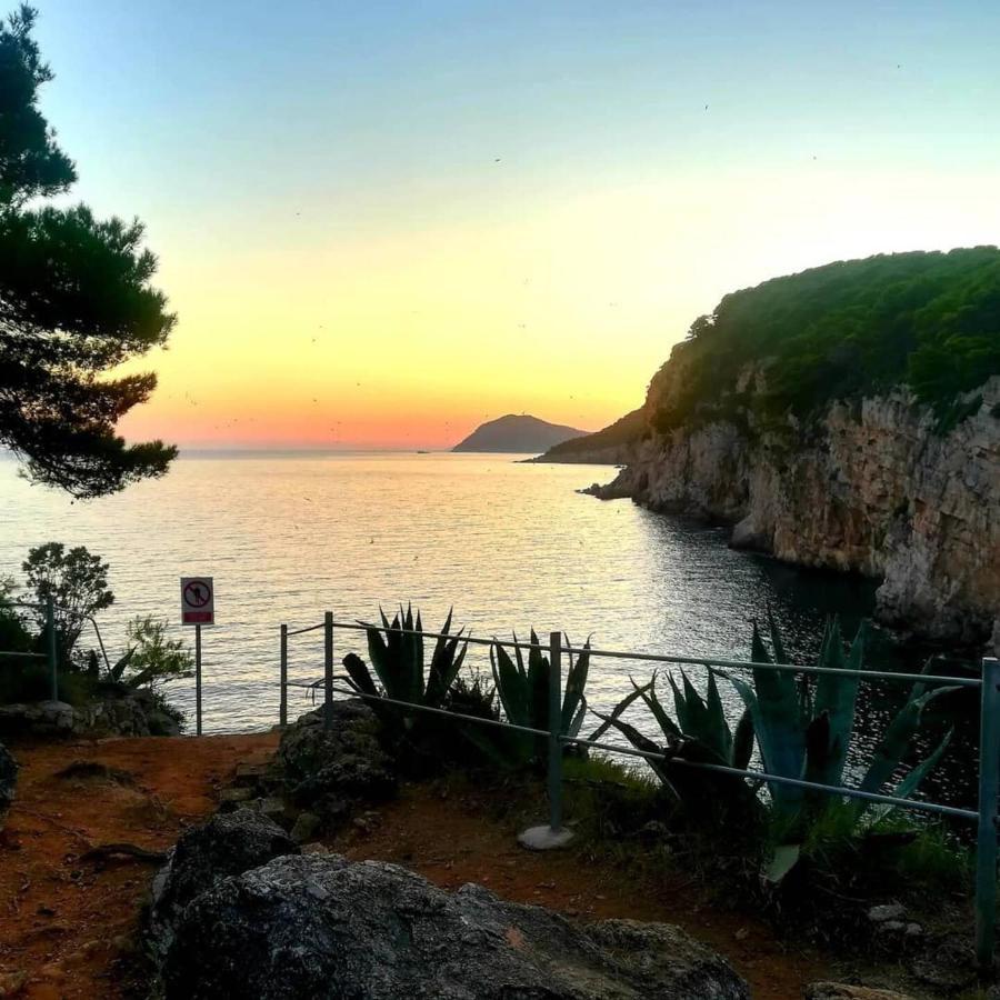 Villa Sea Dream Kolocep Gornje Celo Exterior photo